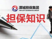 擔保業(yè)務如何支持中小微企業(yè)之我見