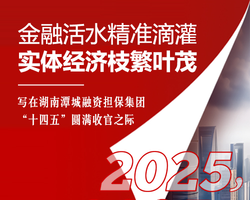 金融活水精準(zhǔn)滴灌 實(shí)體經(jīng)濟(jì)枝繁葉茂 ——寫在湖南潭城融資擔(dān)保集團(tuán)“十四五”圓滿收官之際